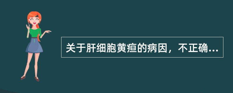 关于肝细胞黄疸的病因，不正确的是（　　）。