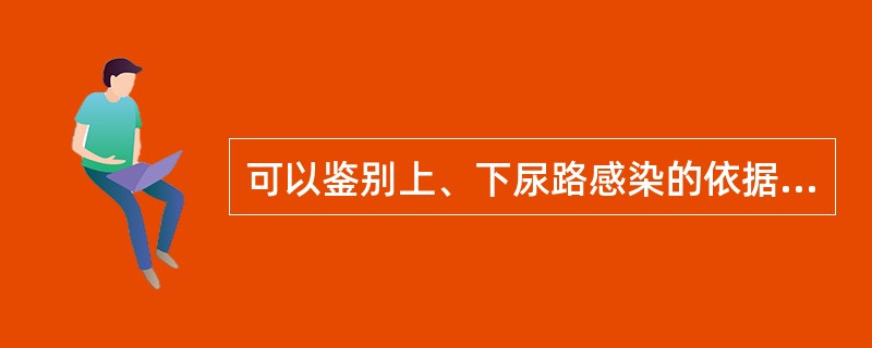 可以鉴别上、下尿路感染的依据是（　　）。