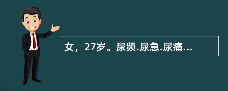 女，27岁。尿频.尿急.尿痛2天。无发热及腰痛，既往无类似发作。查体：肾区无叩击痛，静脉肾盂造影无异常。尿沉渣镜检红.白细胞满视野，给予头孢曲松治疗，症状好转，停服药物7天后，尿细菌定量培养为真性菌尿