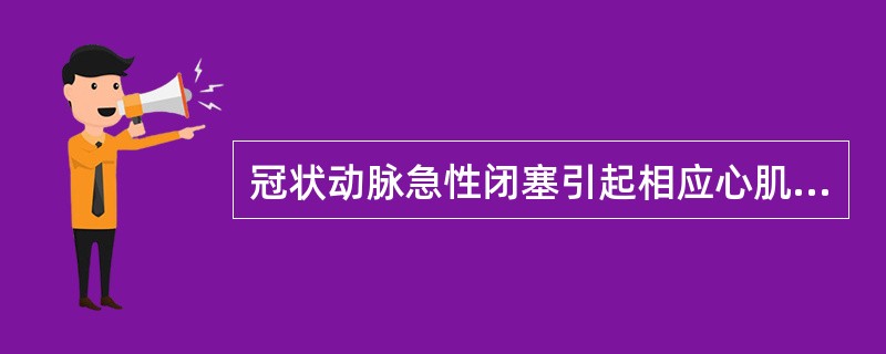 冠状动脉急性闭塞引起相应心肌缺血性坏死，以下有关动脉闭塞描述错误的是