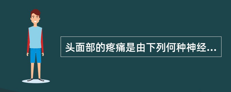 头面部的疼痛是由下列何种神经传导的