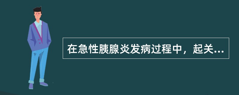 在急性胰腺炎发病过程中，起关键作用的酶是