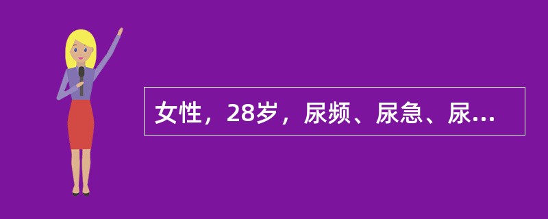 女性，28岁，尿频、尿急、尿痛、小腹痛伴终末血尿2天，尿常规见许多红、白细胞/HP。下列诊断哪一项是正确的？（　　）