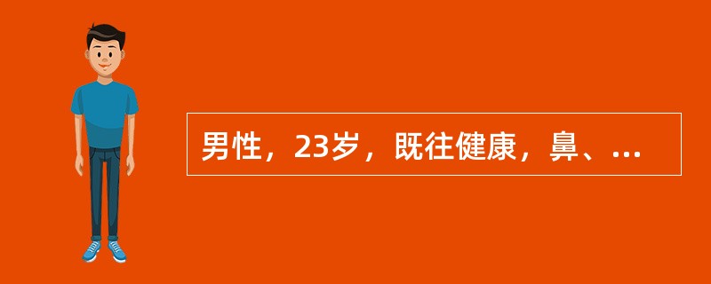 男性，23岁，既往健康，鼻、牙龈出血，皮肤瘀斑4天。查体：T37.9℃，皮肤大片状瘀斑，胸骨压痛，血常规：WBC2.8×109/L，Hb85g/L，PLT8×109/L，血分类中未见异常细胞，尿常规可