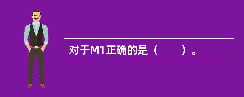 对于M1正确的是（　　）。