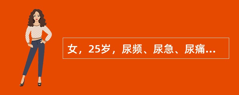 女，25岁，尿频、尿急、尿痛，血尿伴发热1天入院，无呕吐、腰痛，尿蛋白（＋），自细胞满视野，红细胞30～40/HP，患者最可能的诊断是（　　）。