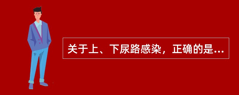 关于上、下尿路感染，正确的是（　　）。