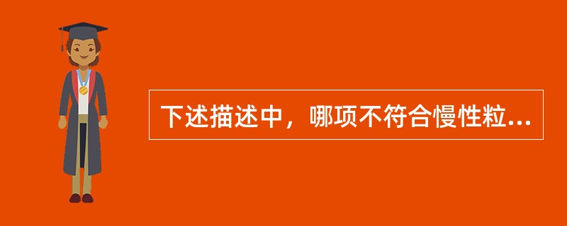 下述描述中，哪项不符合慢性粒细胞白血病？（　　）