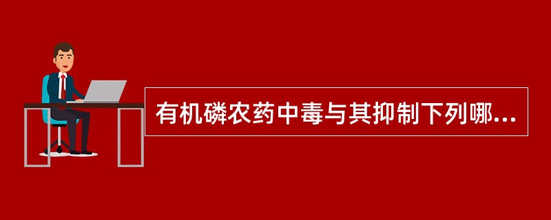 有机磷农药中毒与其抑制下列哪种酶活性有关？（　　）