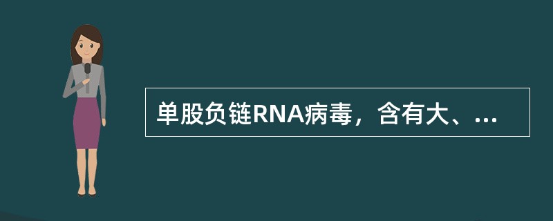单股负链RNA病毒，含有大、中、小三个基因片段，分别编码RNA聚合酶、囊膜糖蛋白G1和G2，以及核蛋白N0该病毒为（　　）。