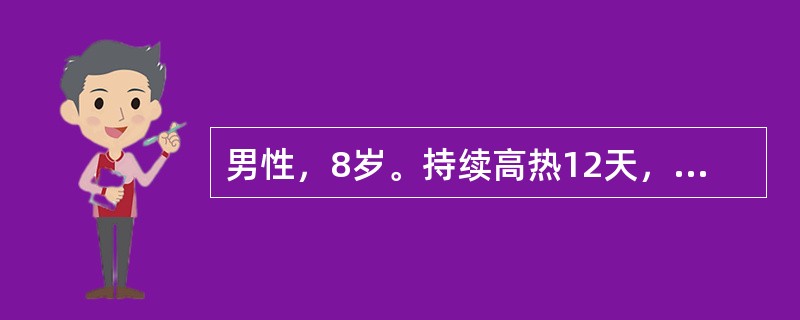 男性，8岁。持续高热12天，伴腹泻每日3～5次，右下腹隐痛住院。体验：肝肋下2cm，脾肋下5cm。化验：WBC2.5×109/L，杆状粒细胞0.10（10%），N0.60（60%），L0.30（30%