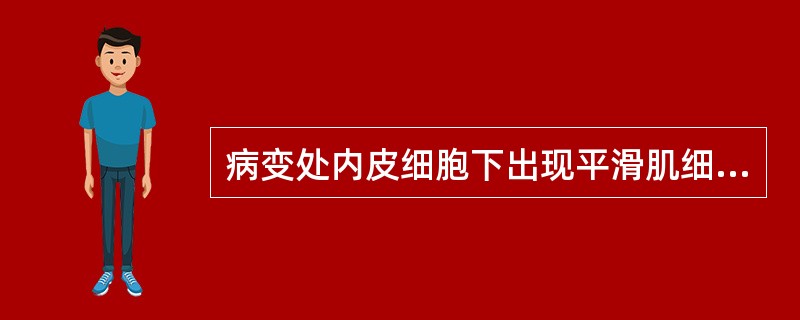 病变处内皮细胞下出现平滑肌细胞，属于（　　）。