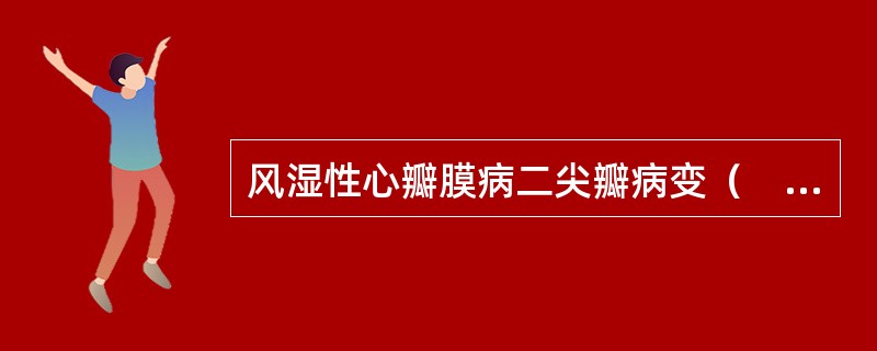 风湿性心瓣膜病二尖瓣病变（　　）