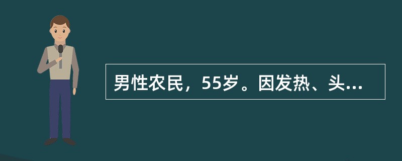 男性农民，55岁。因发热、头晕、鼻出血、皮肤瘀点伴关节酸痛2周来门诊。化验：Hb70g/L，WBC35×109/L，血小板20×109/L，外周血涂片有幼稚细胞。经过3个疗程联合化学治疗，骨髓复查幼稚