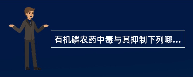 有机磷农药中毒与其抑制下列哪种酶活性有关？（　　）