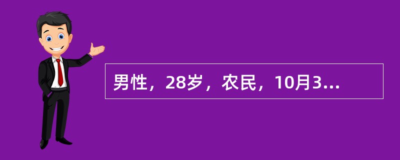 男性，28岁，农民，10月30日高热、头痛、腰痛、呕吐、腹泻，连续发热4天，鼻出血1次。用扑热息痛后热退，但出现头晕、尿少、排尿痛。血象：白细胞数18×109/L，中性粒细胞60%，形态不正常的单核细