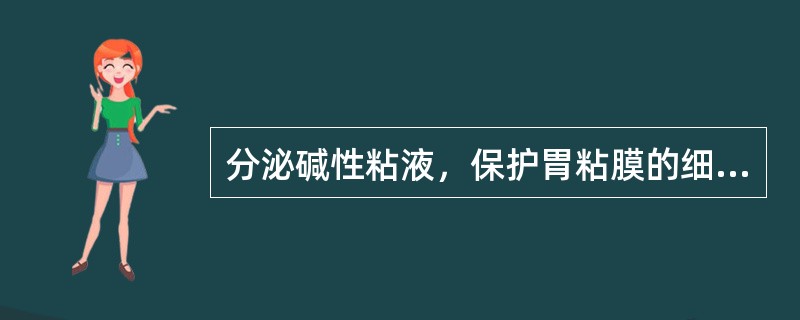 分泌碱性粘液，保护胃粘膜的细胞是（　　）。