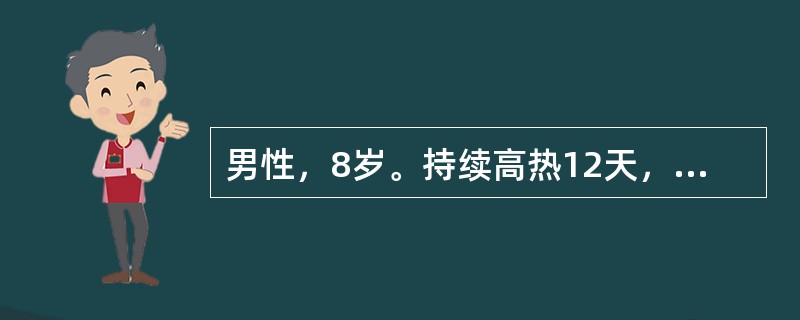 男性，8岁。持续高热12天，伴腹泻每日3～5次，右下腹隐痛住院。体验：肝肋下2cm，脾肋下5cm。化验：WBC2.5×109/L，杆状粒细胞0.10（10%），N0.60（60%），L0.30（30%