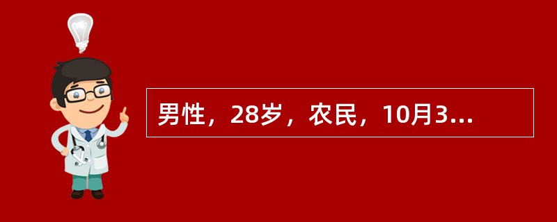 男性，28岁，农民，10月30日高热、头痛、腰痛、呕吐、腹泻，连续发热4天，鼻出血1次。用扑热息痛后热退，但出现头晕、尿少、排尿痛。血象：白细胞数18×109/L，中性粒细胞60%，形态不正常的单核细