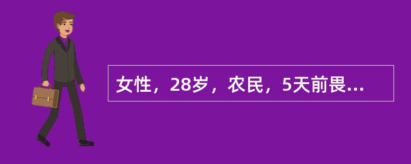 女性，28岁，农民，5天前畏寒、发热、剧烈头痛及全身肌肉痛，体检：球结膜充血，腹股沟可及3枚肿大淋巴结，蚕豆大小，肝肋下5cm，轻压痛，脾未及，腓肠肌压痛明显。血象：WBC6.8×109/L，中性粒细