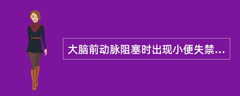 大脑前动脉阻塞时出现小便失禁，是由于损害了（　　）。