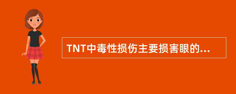 TNT中毒性损伤主要损害眼的（　　）。