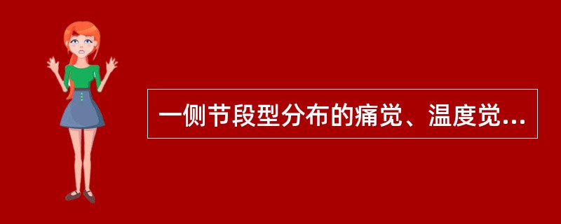 一侧节段型分布的痛觉、温度觉消失，而触觉保留，应定位于（　　）。