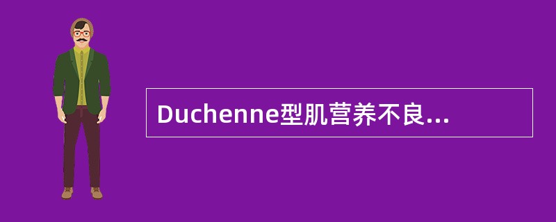 Duchenne型肌营养不良（　　）。