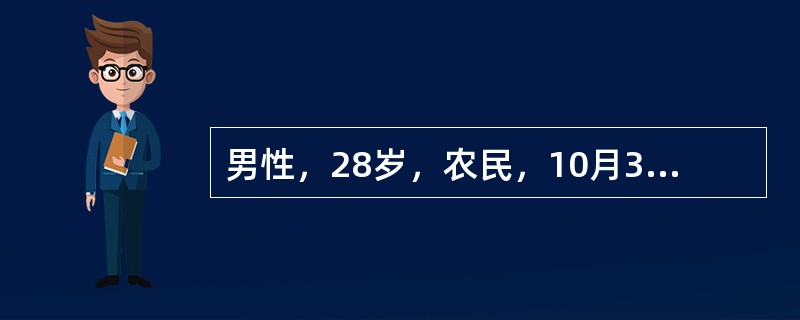 男性，28岁，农民，10月30日高热、头痛、腰痛、呕吐、腹泻，连续发热4天，鼻出血1次。用扑热息痛后热退，但出现头晕、尿少、排尿痛。血象：白细胞数18×10<sup>9</sup&g