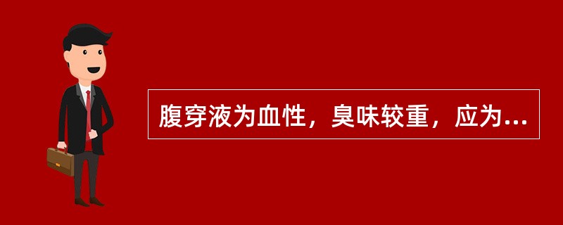 腹穿液为血性，臭味较重，应为（　　）。