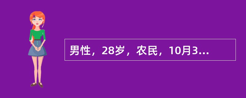 男性，28岁，农民，10月30日高热、头痛、腰痛、呕吐、腹泻，连续发热4天，鼻出血1次。用扑热息痛后热退，但出现头晕、尿少、排尿痛。血象：白细胞数18×109/L，中性粒细胞60%，形态不正常的单核细