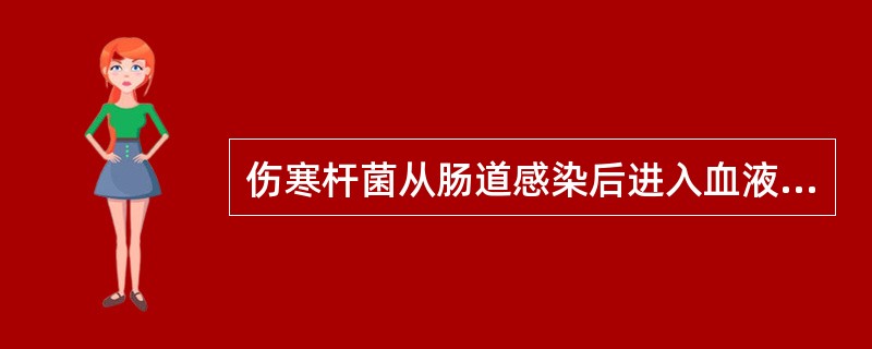 伤寒杆菌从肠道感染后进入血液通过（　　）。