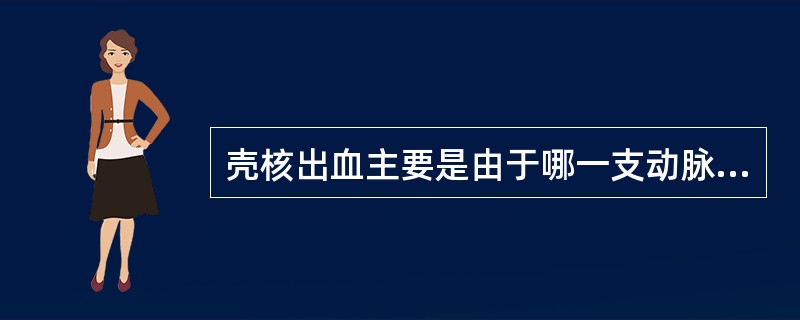 壳核出血主要是由于哪一支动脉破裂引起？（　　）
