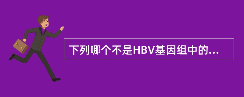下列哪个不是HBV基因组中的开放读码框架？（　　）
