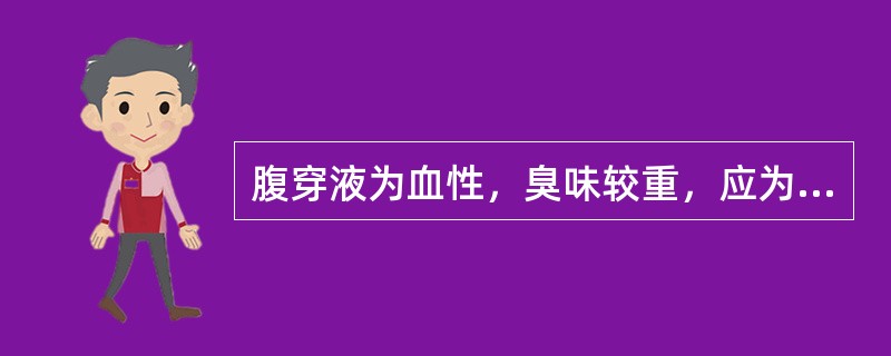 腹穿液为血性，臭味较重，应为（　　）。