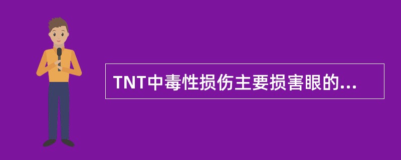 TNT中毒性损伤主要损害眼的（　　）。
