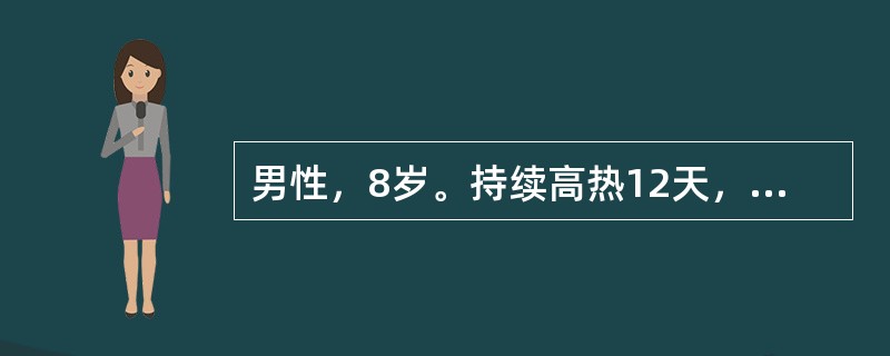 男性，8岁。持续高热12天，伴腹泻每日3～5次，右下腹隐痛住院。体验：肝肋下2cm，脾肋下5cm。化验：WBC 2.5×109/L，杆状粒细胞0.10（10%），N 0.60（60%），L 0．30（