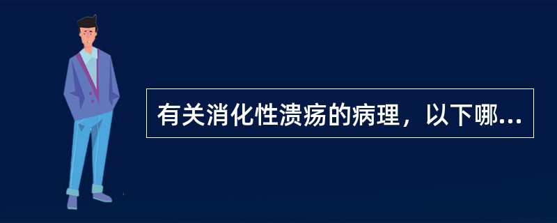 有关消化性溃疡的病理，以下哪种不正确？（　　）