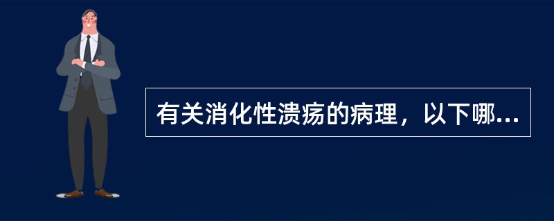 有关消化性溃疡的病理，以下哪种不正确？（　　）