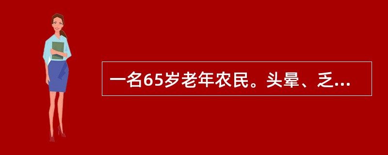 一名65岁老年农民。头晕、乏力、骨骼疼痛伴不规则发热2月就诊。体检：贫血貌，全身皮肤可见少许散在瘀点，胸骨无压痛，脾肋下2cm。化验：Hb60g/L，WBC30×109/L，血小板25.6×109/L