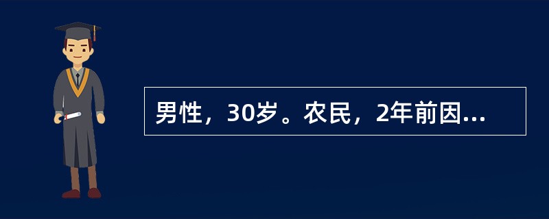男性，30岁。农民，2年前因乏力，消瘦，在卫生院检查有脾肿大，服中药10剂，未做进一步诊治。近1月来发热，头晕，骨关节疼痛，皮肤出血点来诊。体检：贫血貌，颈部淋巴结肿大，胸骨下段有压痛，肝肋下2cm，