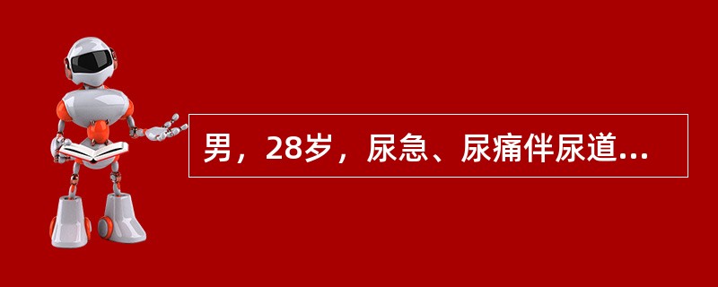 男，28岁，尿急、尿痛伴尿道口脓性分泌物2天就诊，患者否认有不洁性行为史。患者尿道分泌物涂片检查发现白细胞，其内有革兰阴性双球菌，该患者应诊断为（　　）。