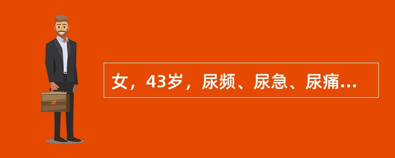 女，43岁，尿频、尿急、尿痛、腰痛伴发热，偶有寒战1日，T:39.2℃，膀胱区压痛，双肾区痛、尿常规：白细胞10～15/HP和管型，最可能的诊断是（　　）。