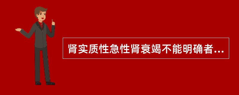 肾实质性急性肾衰竭不能明确者，下列哪种方法可确诊？（　　）