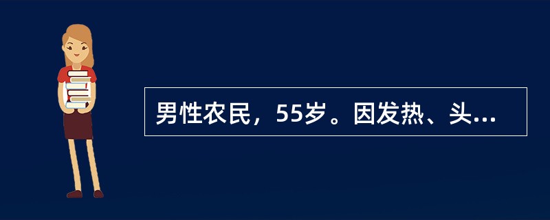 男性农民，55岁。因发热、头晕、鼻出血、皮肤瘀点伴关节酸痛2周来门诊。化验：Hb70g/L，WBC35×109/L，血小板20×109/L，外周血涂片有幼稚细胞。B超显示肝脾肿大，骨髓涂片示增生明显活