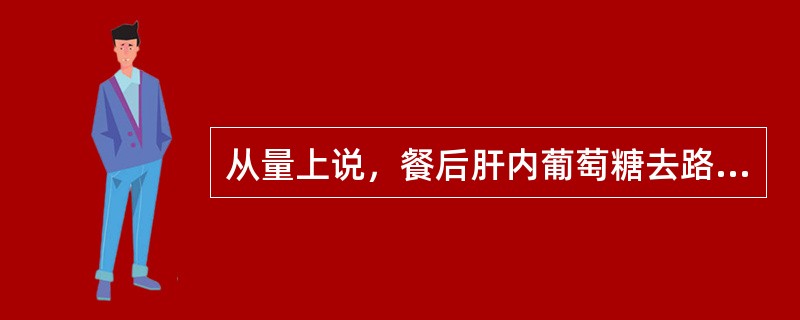 从量上说，餐后肝内葡萄糖去路最多的代谢途径是（　　）。