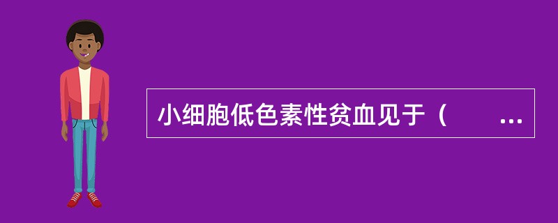 小细胞低色素性贫血见于（　　）。