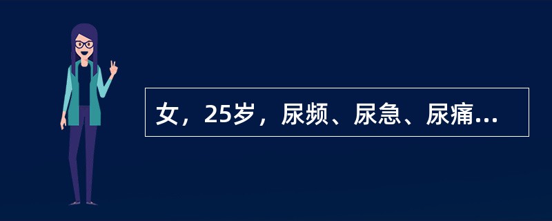 女，25岁，尿频、尿急、尿痛，血尿伴发热1天入院，无呕吐、腰痛，尿蛋白（＋），自细胞满视野，红细胞30～40/HP，患者最可能的诊断是（　　）。