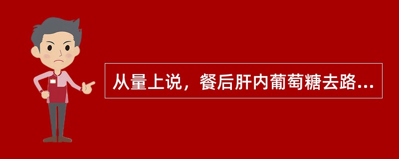 从量上说，餐后肝内葡萄糖去路最多的代谢途径是（　　）。