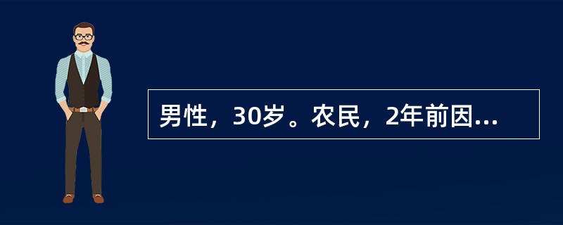 男性，30岁。农民，2年前因乏力，消瘦，在卫生院检查有脾肿大，服中药10剂，未做进一步诊治。近1月来发热，头晕，骨关节疼痛，皮肤出血点来诊。体检：贫血貌，颈部淋巴结肿大，胸骨下段有压痛，肝肋下2cm，